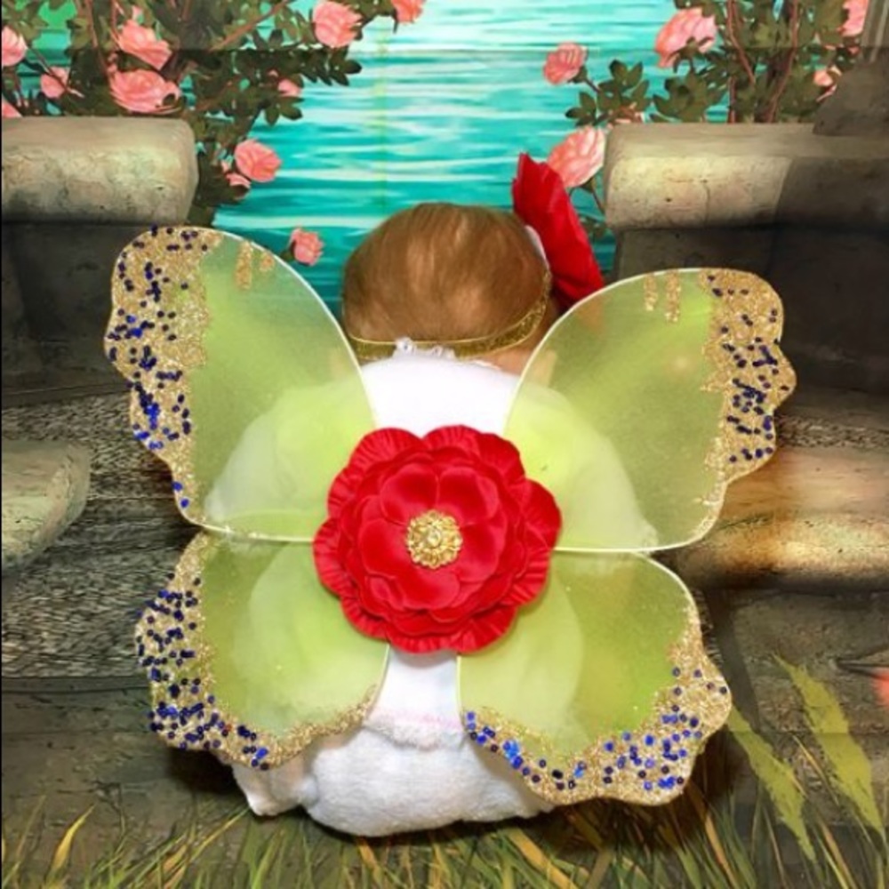 Butterfly Wings, Flower Headband, Props, Costume